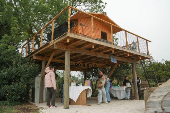 01-Aniversario-da-Petra-2026