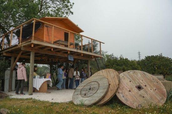 02-Aniversario-da-Petra-2026