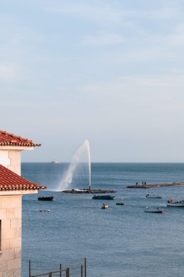 Foto.0510